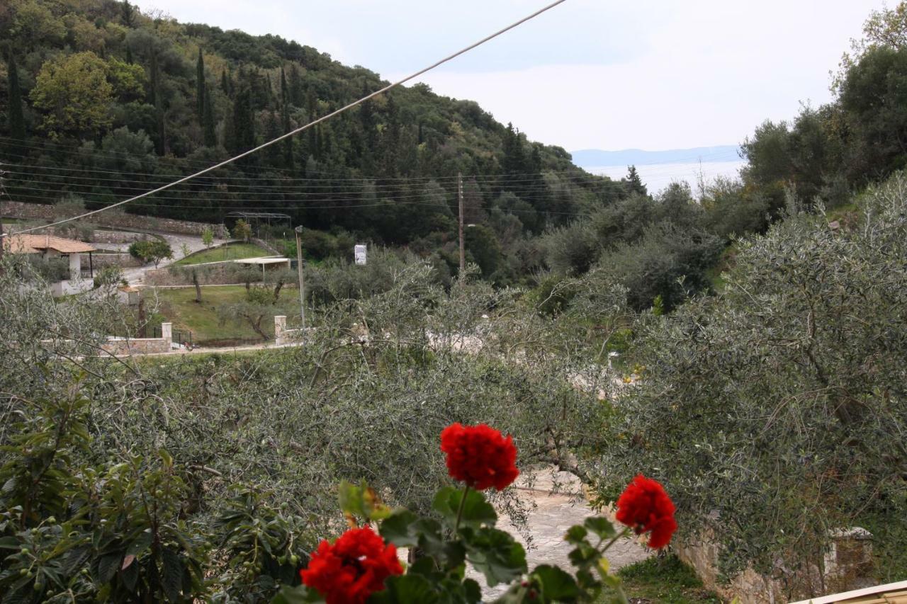 Katerina Rooms Sivota  Luaran gambar