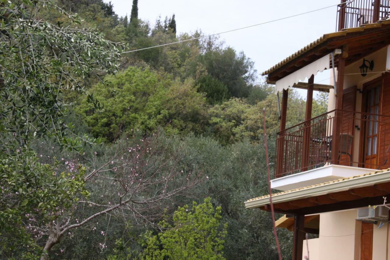 Katerina Rooms Sivota  Luaran gambar