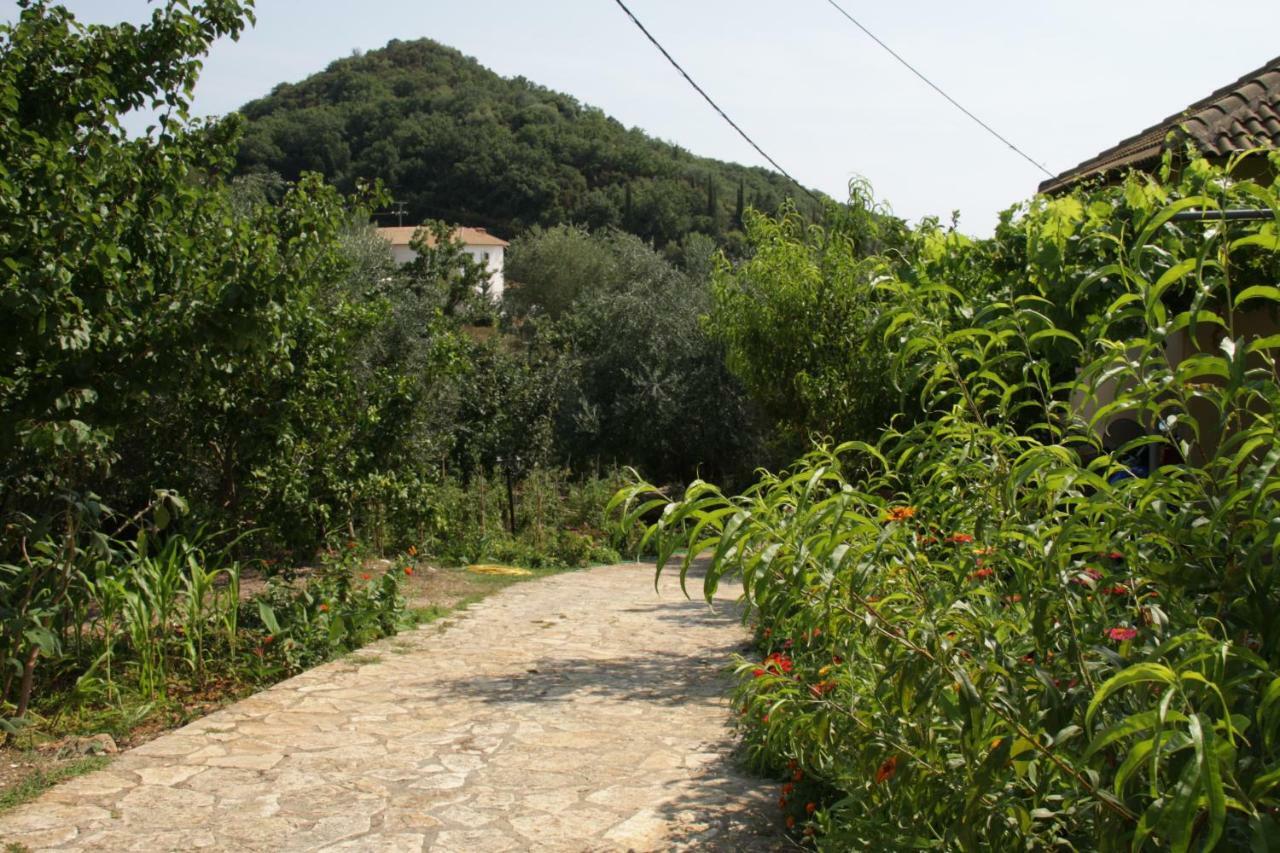Katerina Rooms Sivota  Luaran gambar